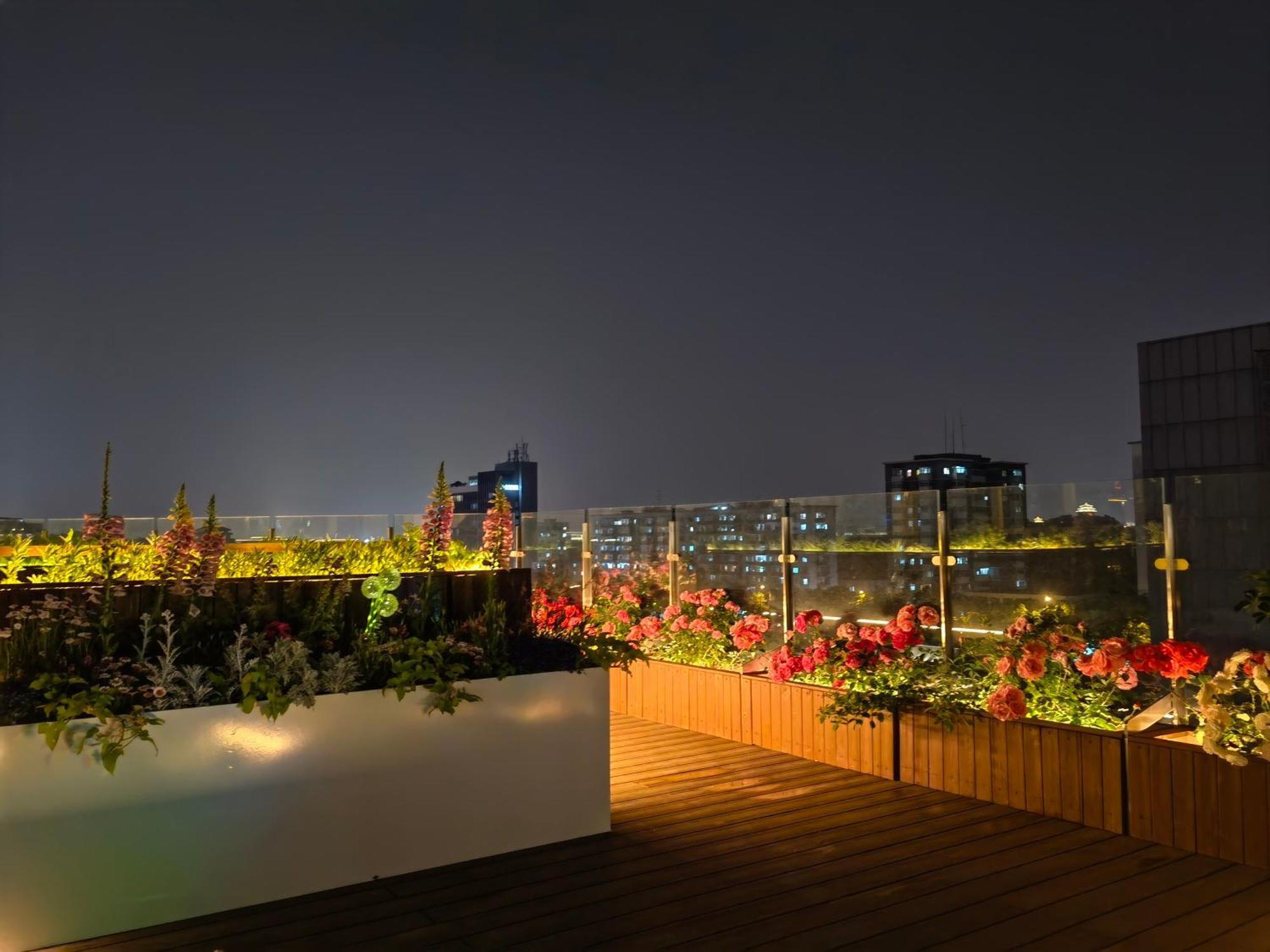The Purple Horse Hotel Hotel 5*